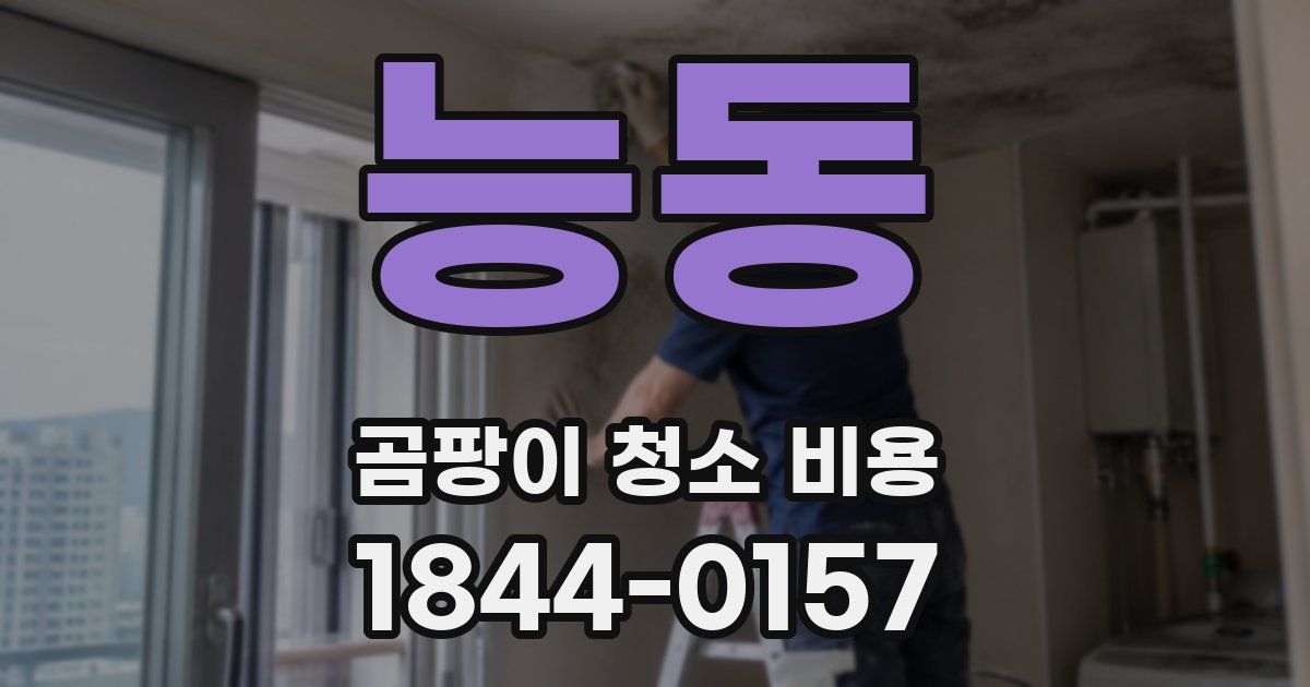 능동 곰팡이 청소 비용