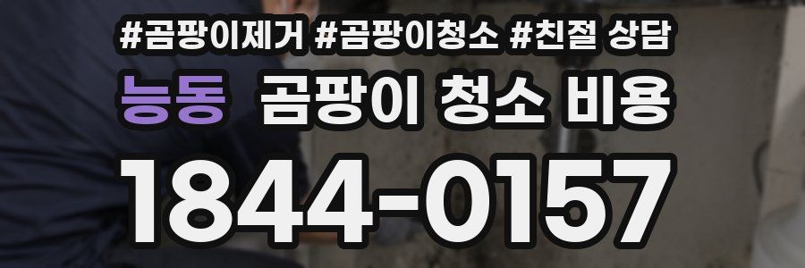 능동 곰팡이 청소 비용