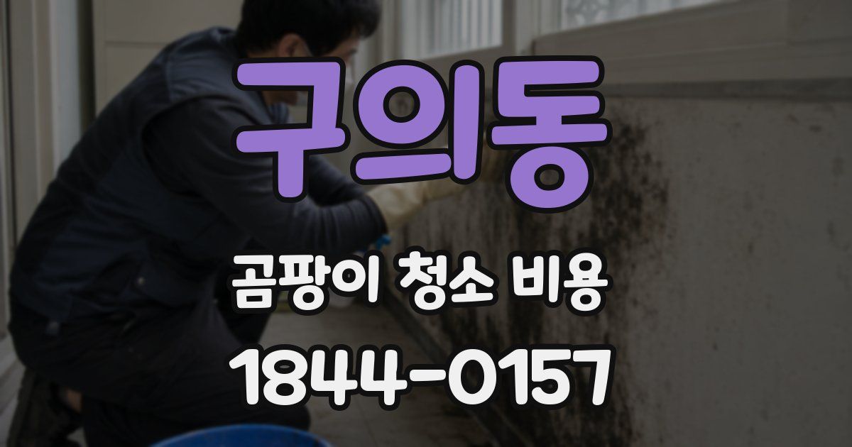 구의동 곰팡이 청소 비용