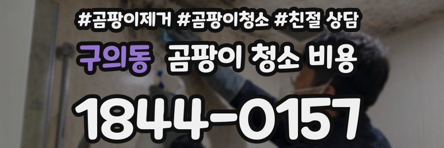 구의동 곰팡이 청소 비용