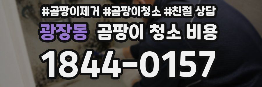 광장동 곰팡이 청소 비용