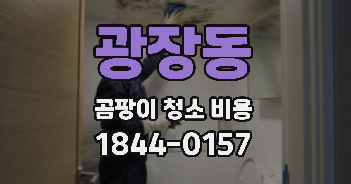 광장동 곰팡이 청소 비용