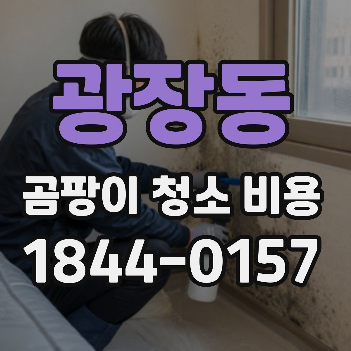 광장동 곰팡이 청소 비용