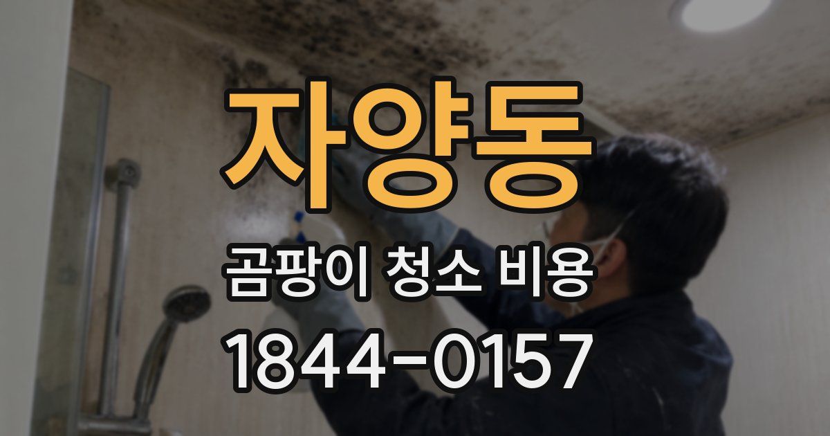 자양동 곰팡이 청소 비용
