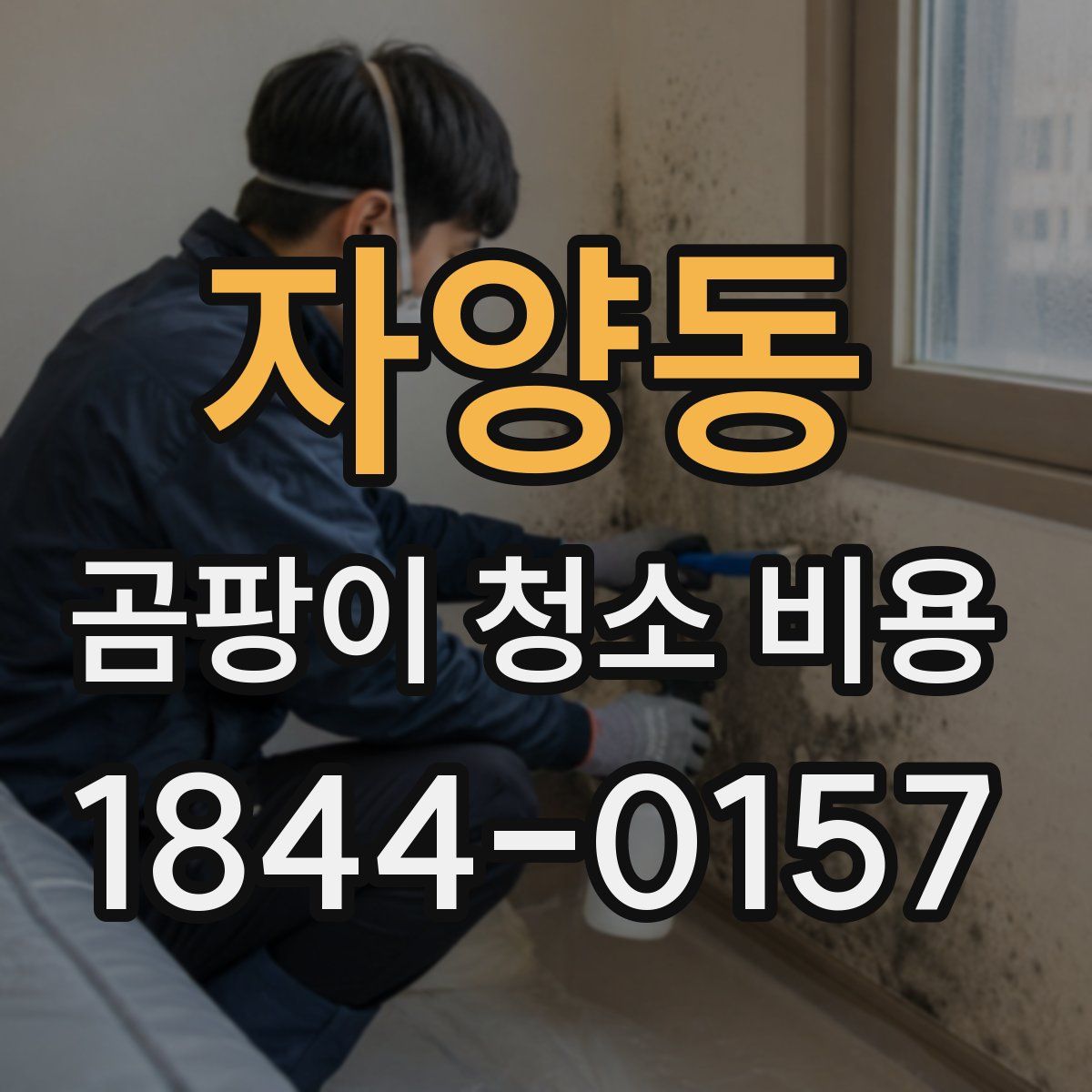 자양동 곰팡이 청소 비용