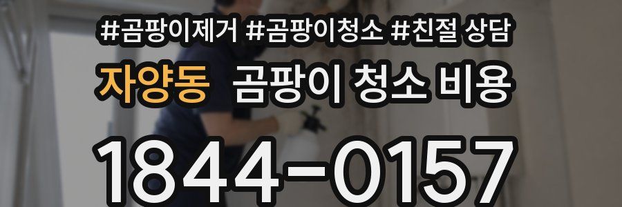 자양동 곰팡이 청소 비용