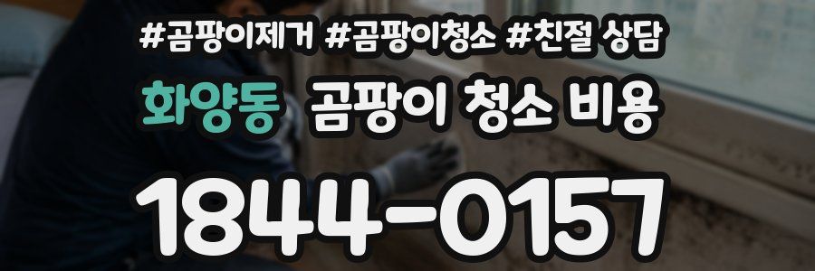 화양동 곰팡이 청소 비용