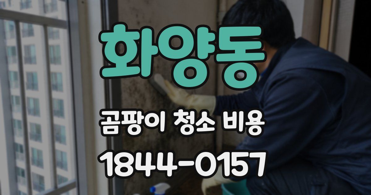 화양동 곰팡이 청소 비용