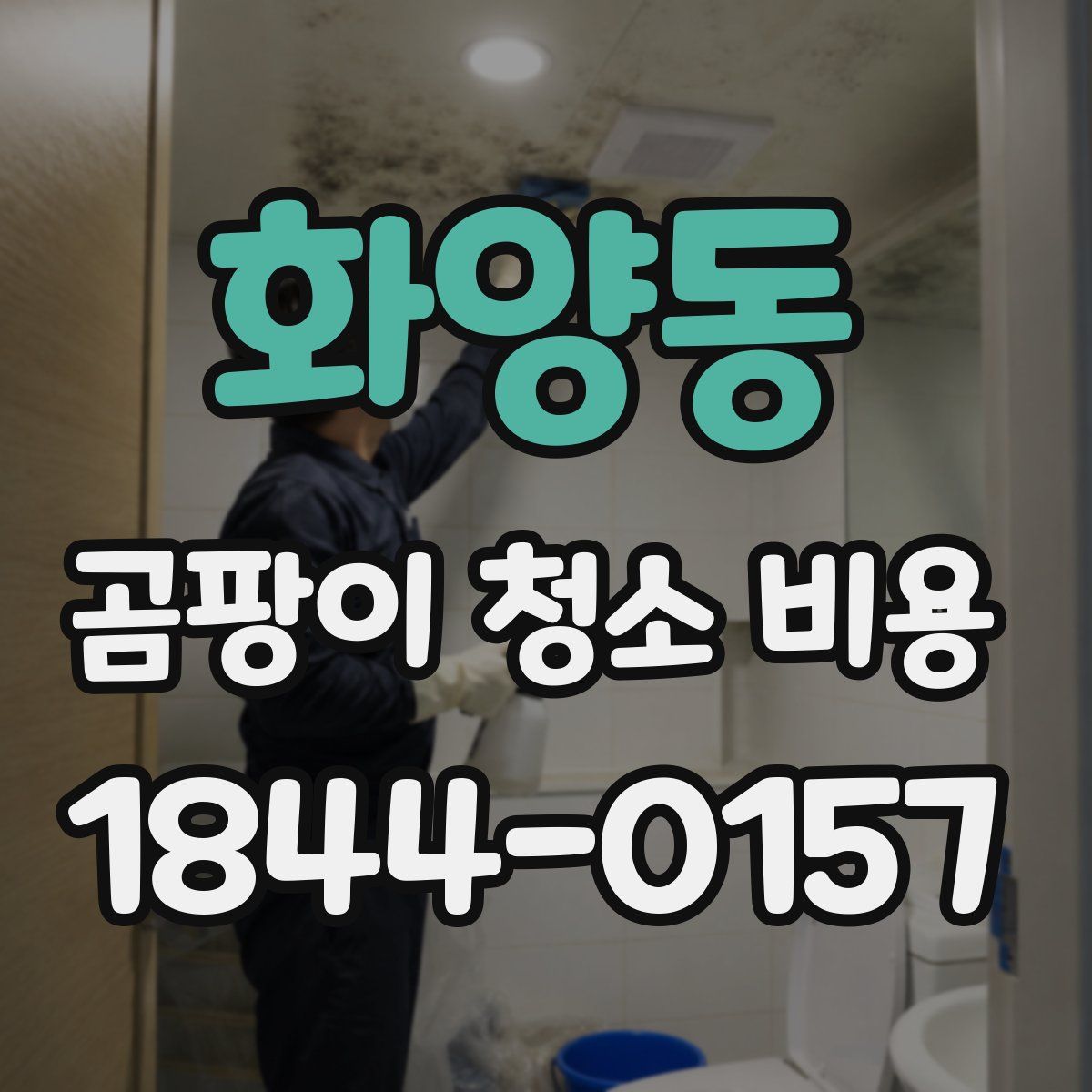화양동 곰팡이 청소 비용