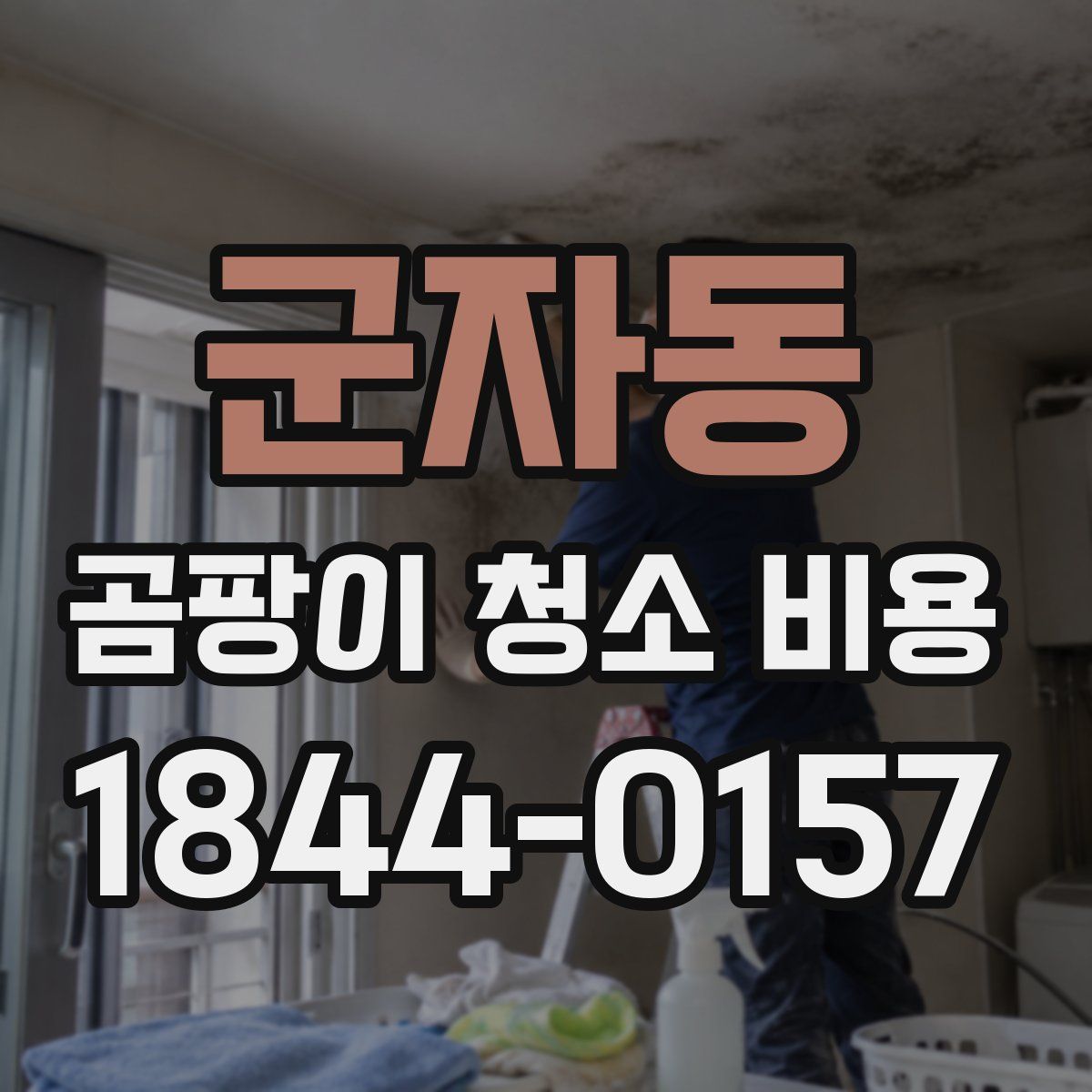 군자동 곰팡이 청소 비용