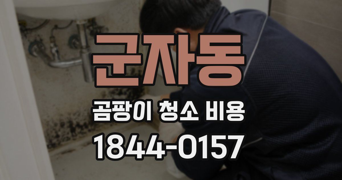 군자동 곰팡이 청소 비용