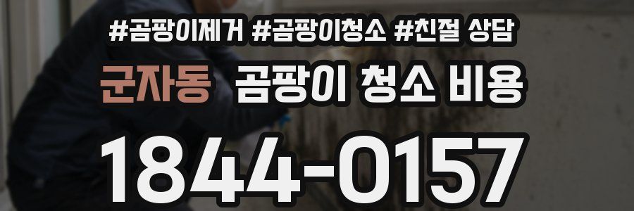 군자동 곰팡이 청소 비용