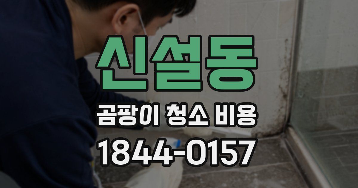 신설동 곰팡이 청소 비용