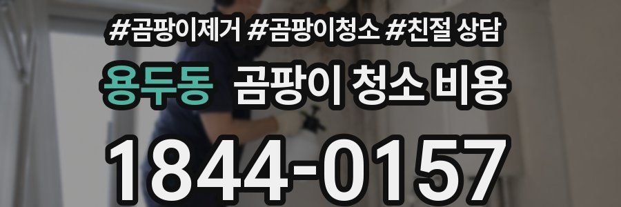 용두동 곰팡이 청소 비용