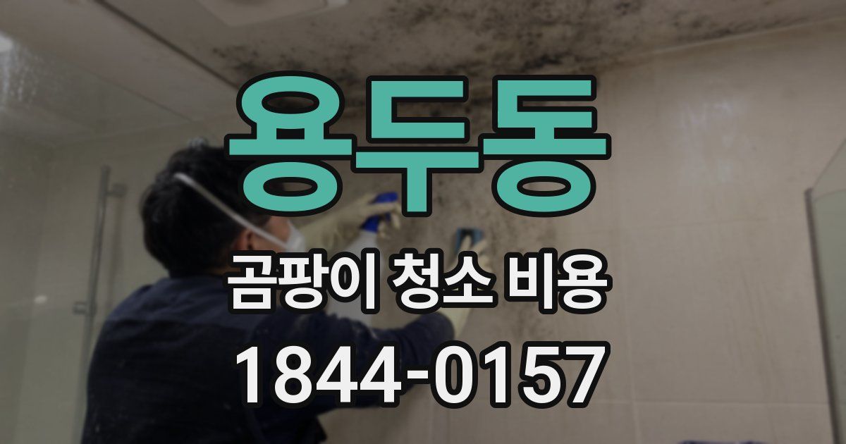 용두동 곰팡이 청소 비용