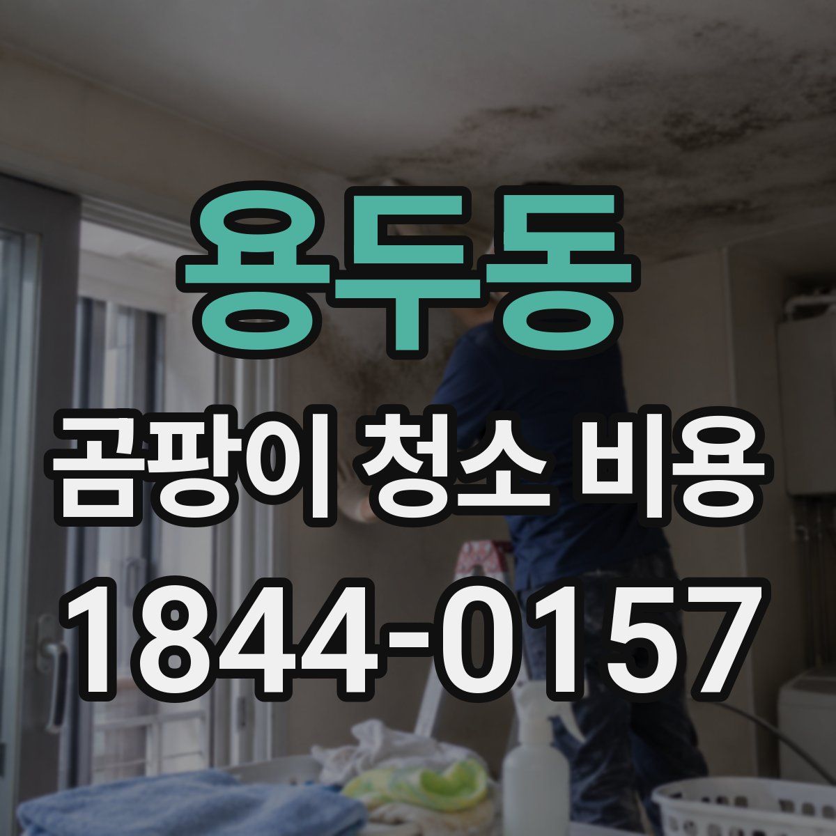 용두동 곰팡이 청소 비용