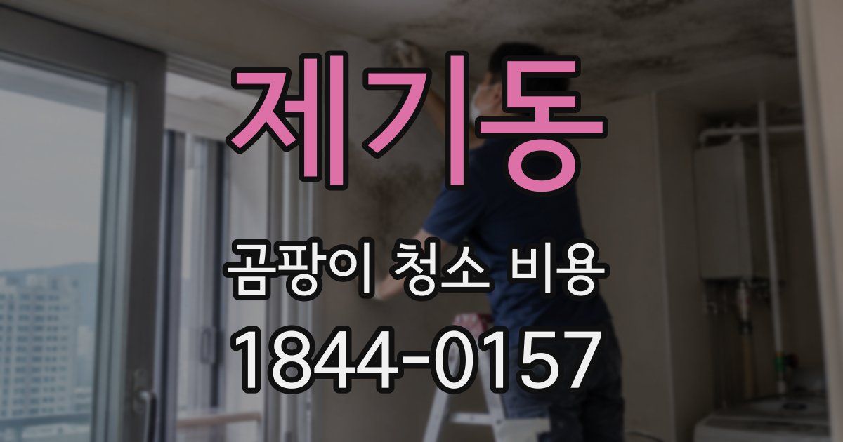 제기동 곰팡이 청소 비용