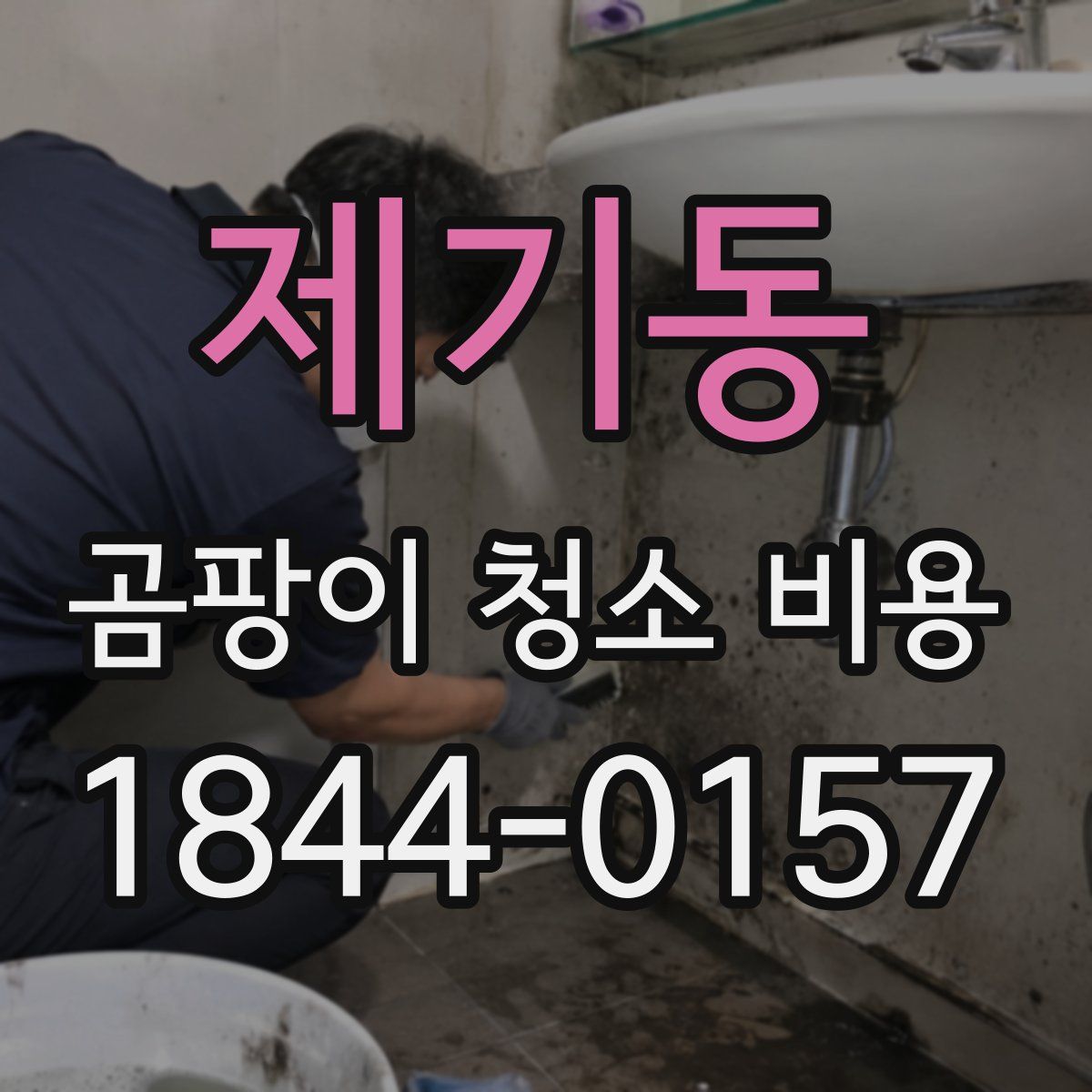 제기동 곰팡이 청소 비용
