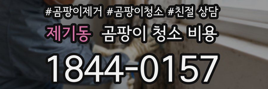 제기동 곰팡이 청소 비용