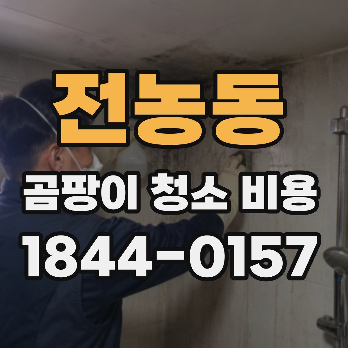 전농동 곰팡이 청소 비용