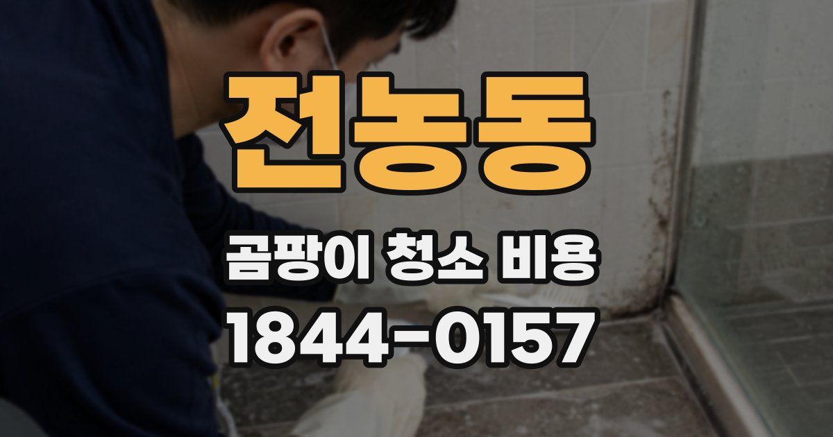 전농동 곰팡이 청소 비용