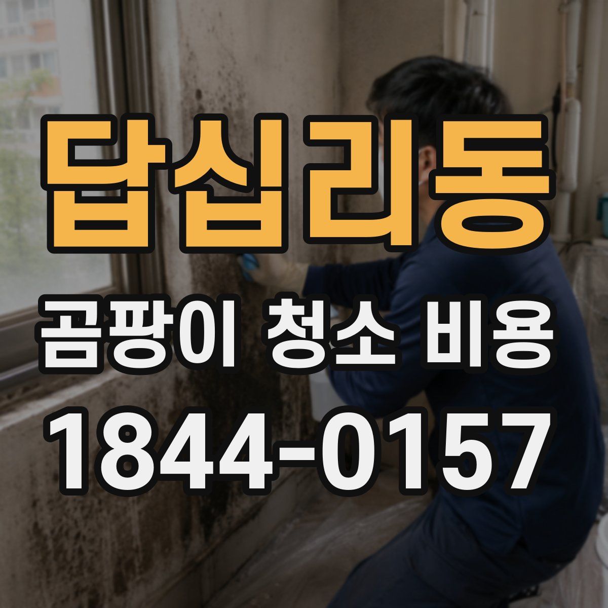 답십리동 곰팡이 청소 비용