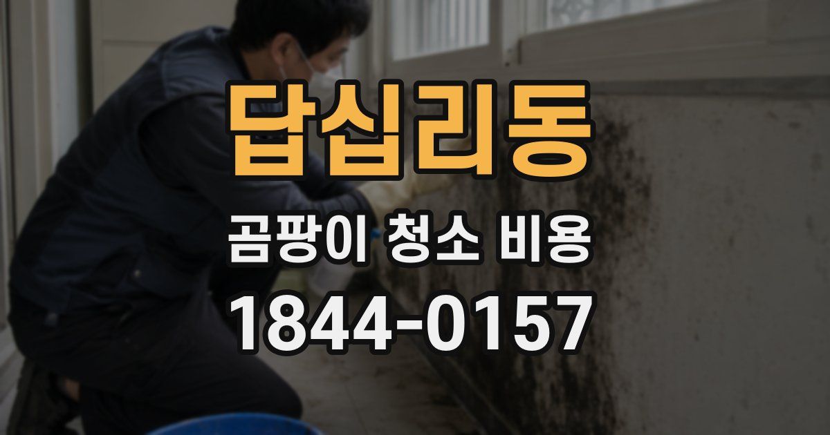 답십리동 곰팡이 청소 비용