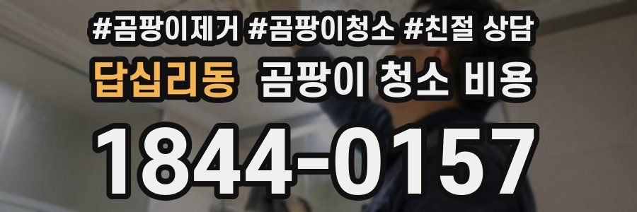 답십리동 곰팡이 청소 비용