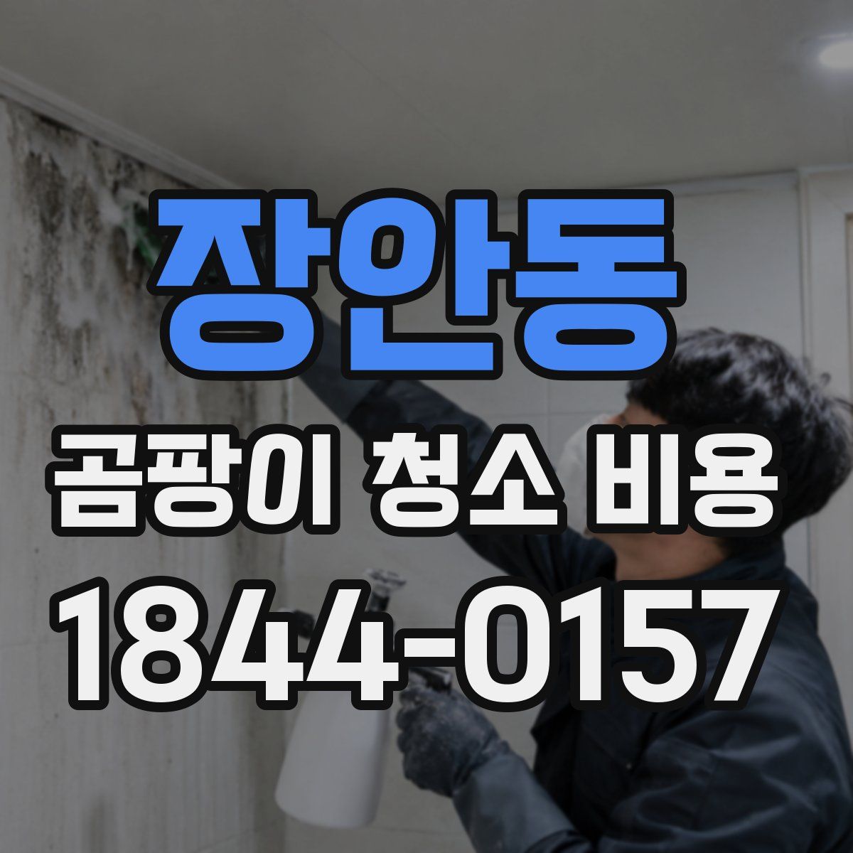 장안동 곰팡이 청소 비용