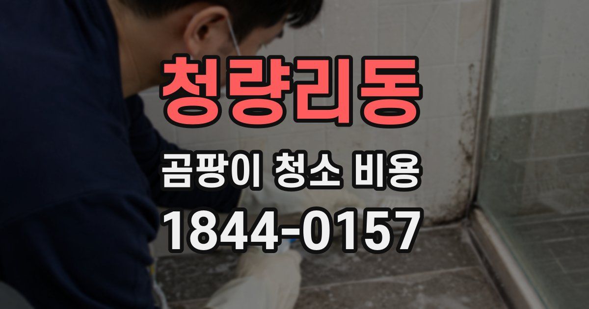 청량리동 곰팡이 청소 비용