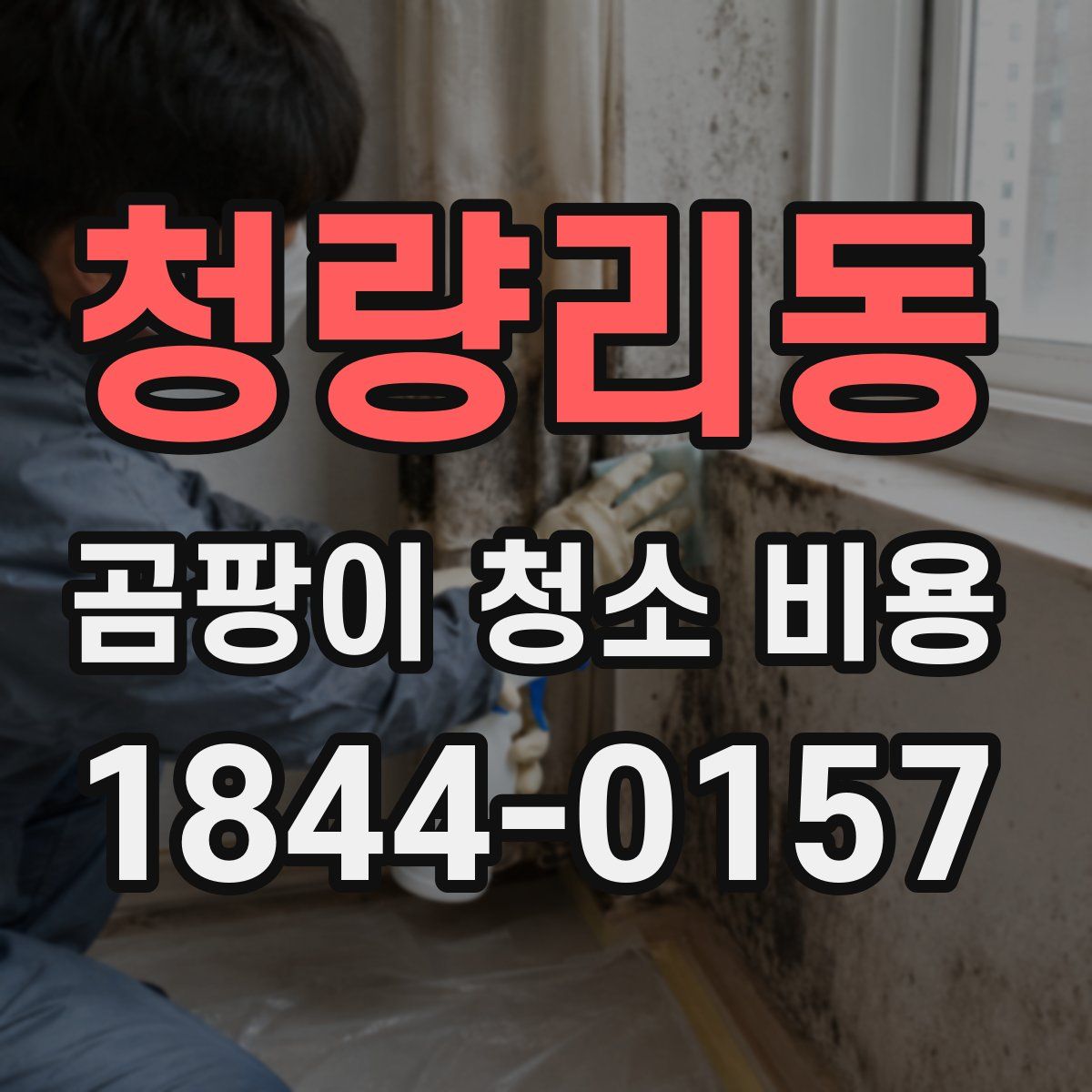 청량리동 곰팡이 청소 비용