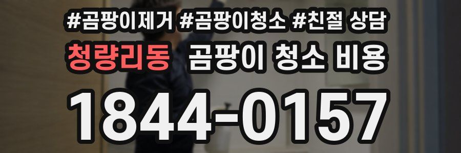 청량리동 곰팡이 청소 비용