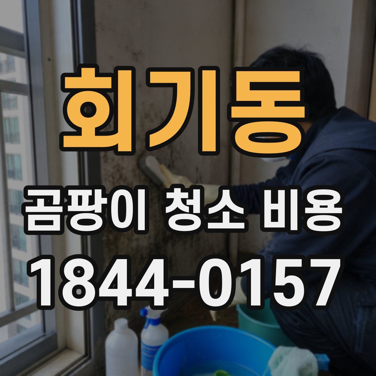 회기동 곰팡이 청소 비용