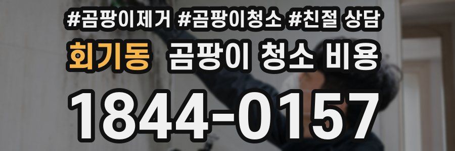 회기동 곰팡이 청소 비용
