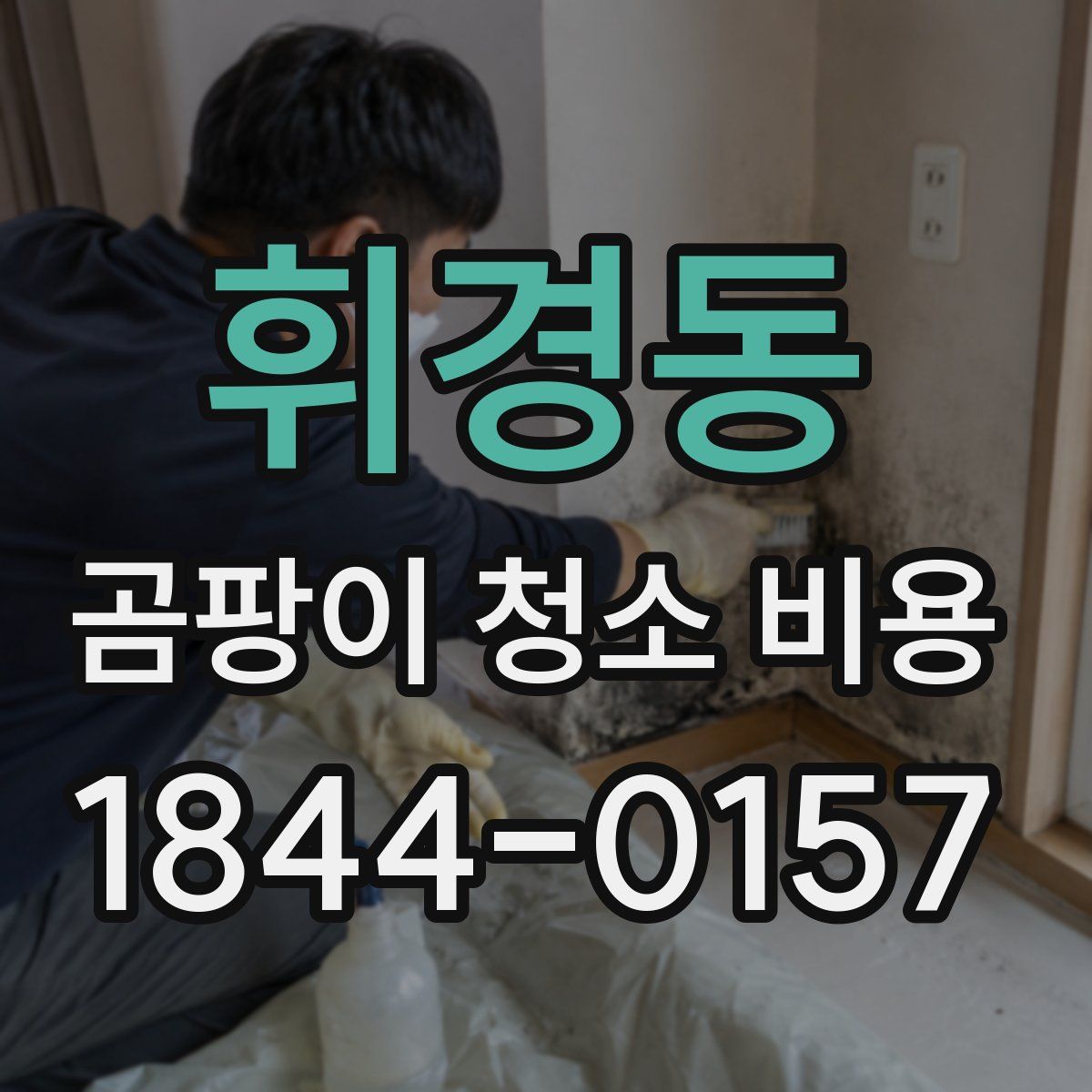 휘경동 곰팡이 청소 비용