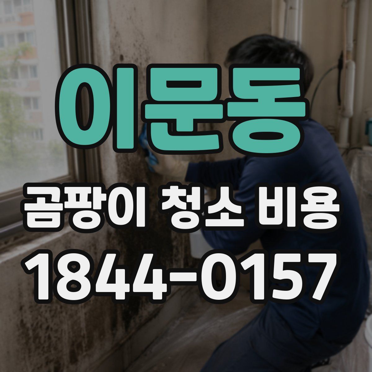 이문동 곰팡이 청소 비용