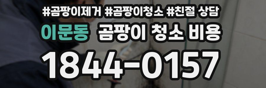 이문동 곰팡이 청소 비용