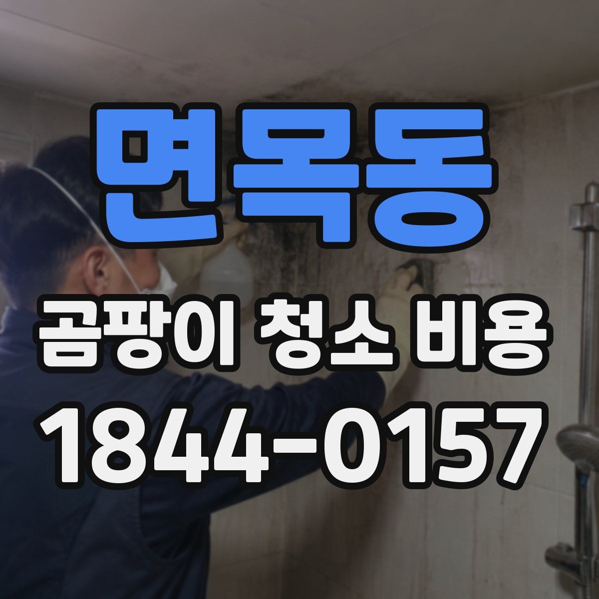 면목동 곰팡이 청소 비용