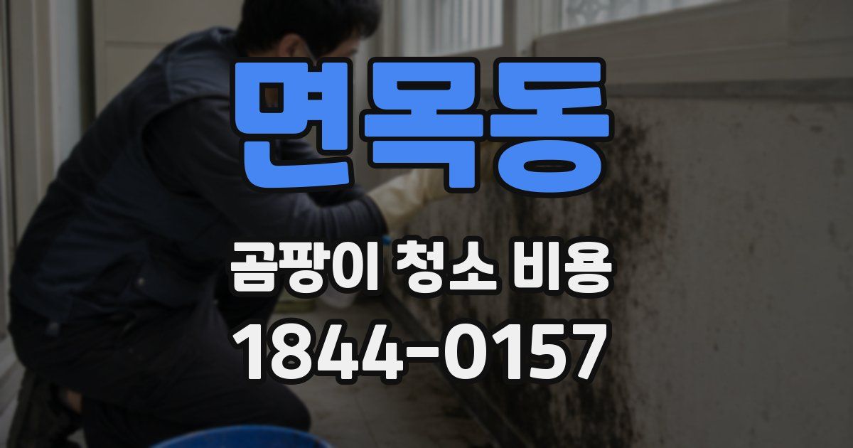 면목동 곰팡이 청소 비용