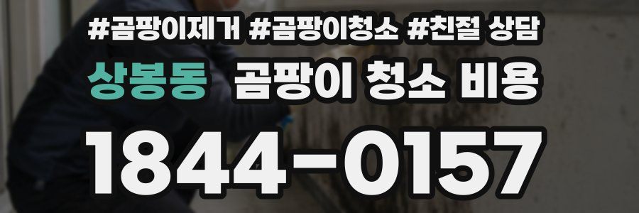 상봉동 곰팡이 청소 비용