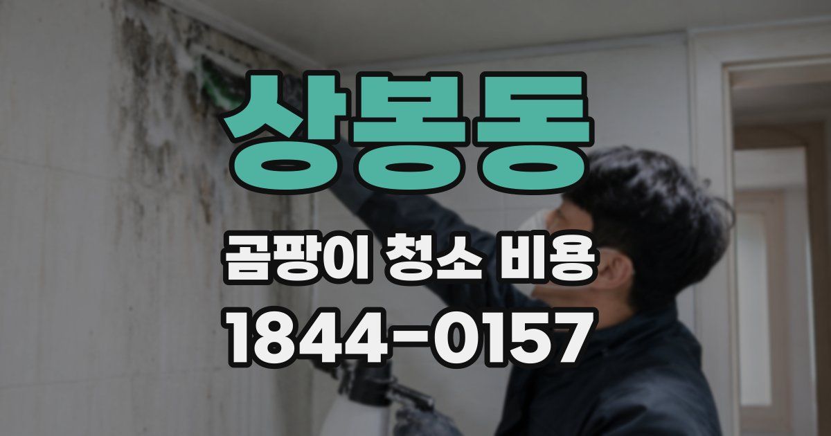 상봉동 곰팡이 청소 비용