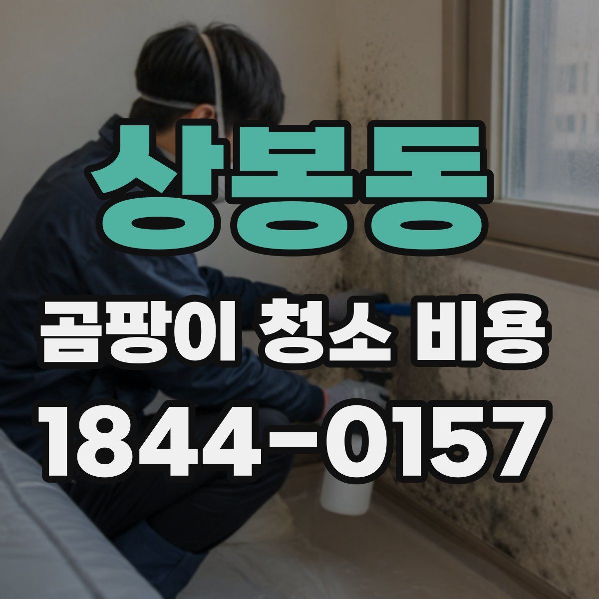 상봉동 곰팡이 청소 비용