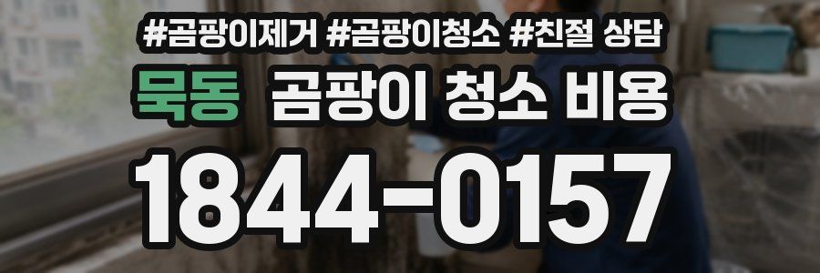 묵동 곰팡이 청소 비용