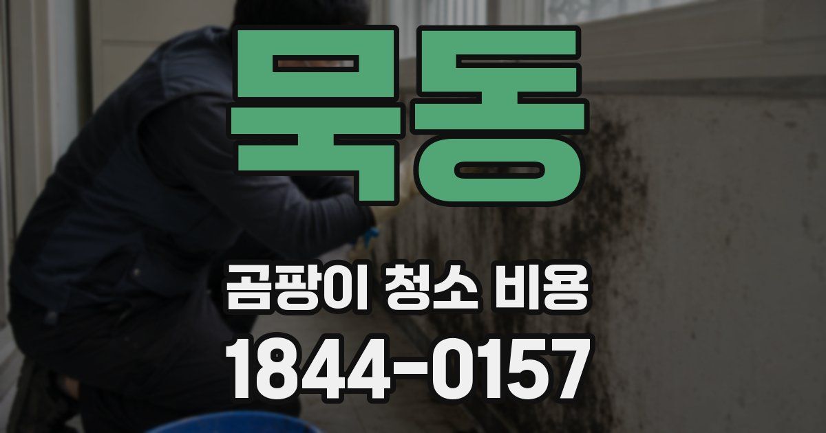묵동 곰팡이 청소 비용