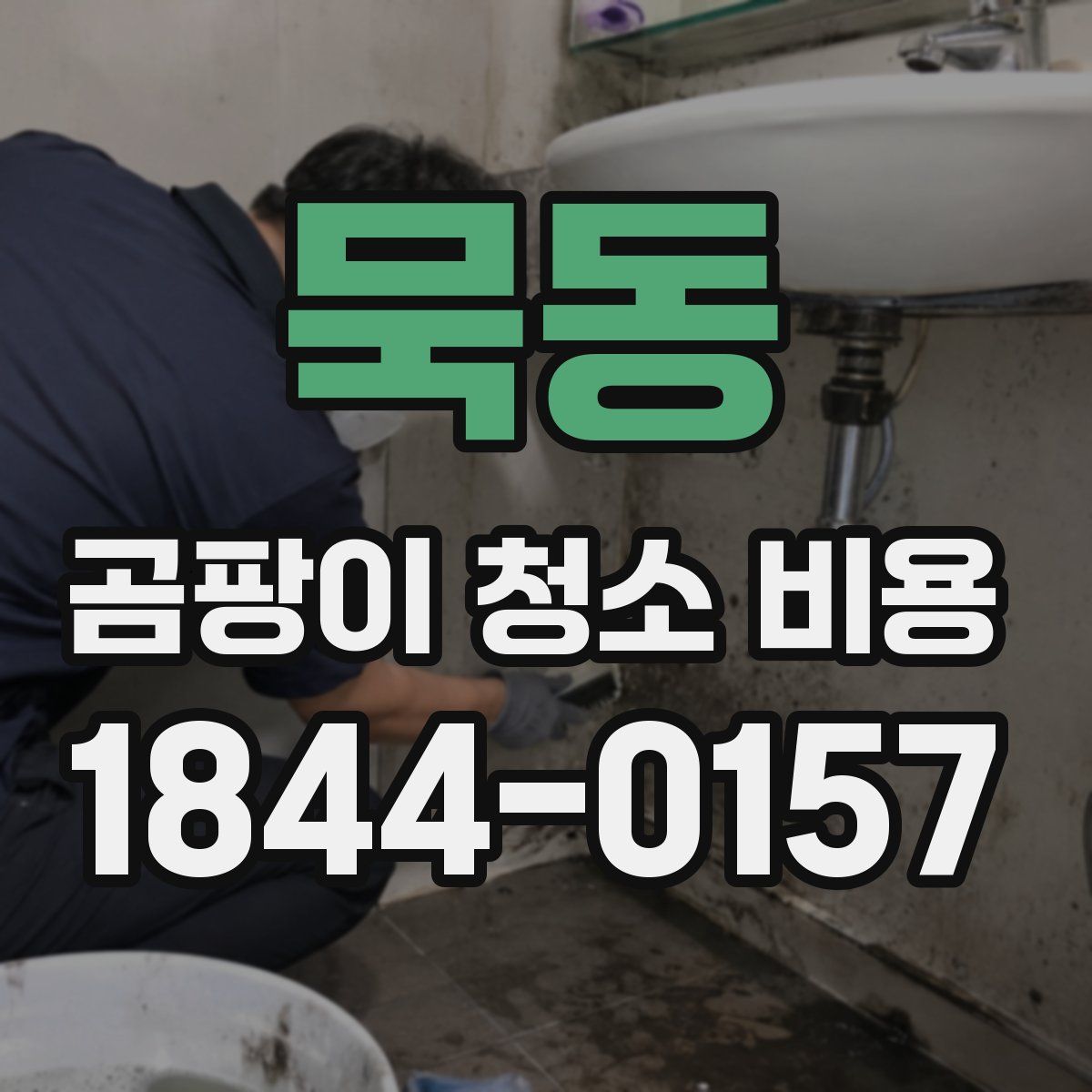 묵동 곰팡이 청소 비용