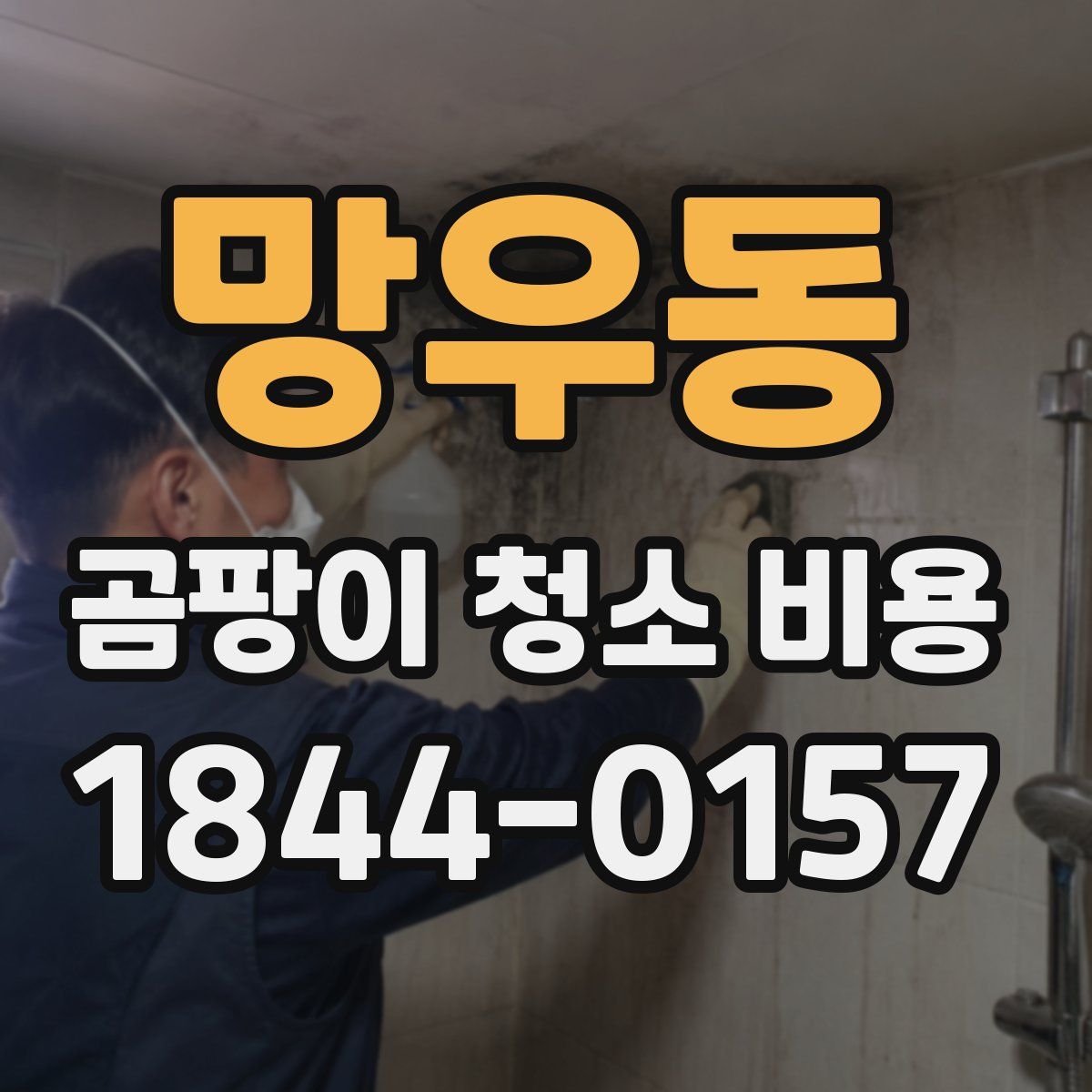 망우동 곰팡이 청소 비용