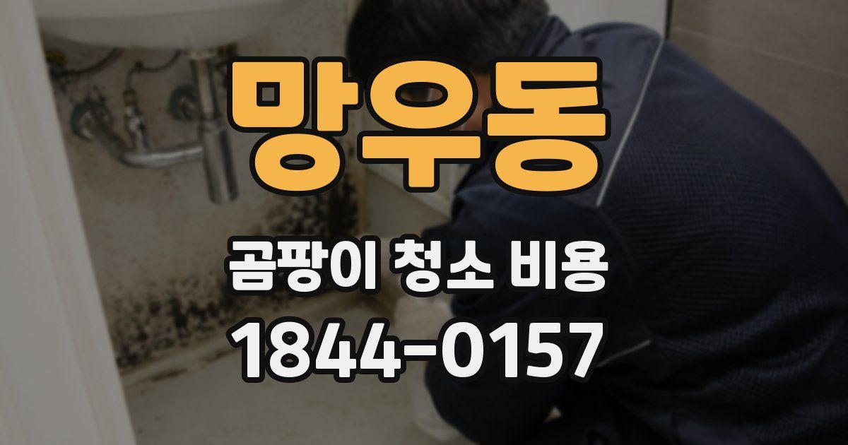 망우동 곰팡이 청소 비용