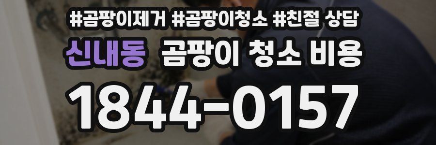 신내동 곰팡이 청소 비용