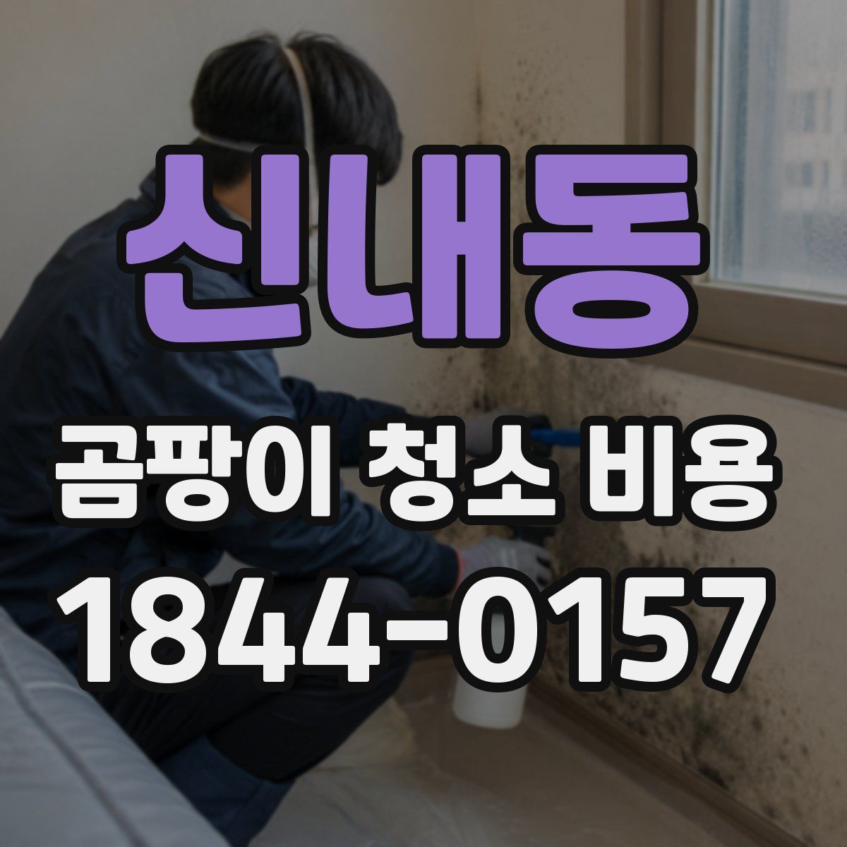 신내동 곰팡이 청소 비용