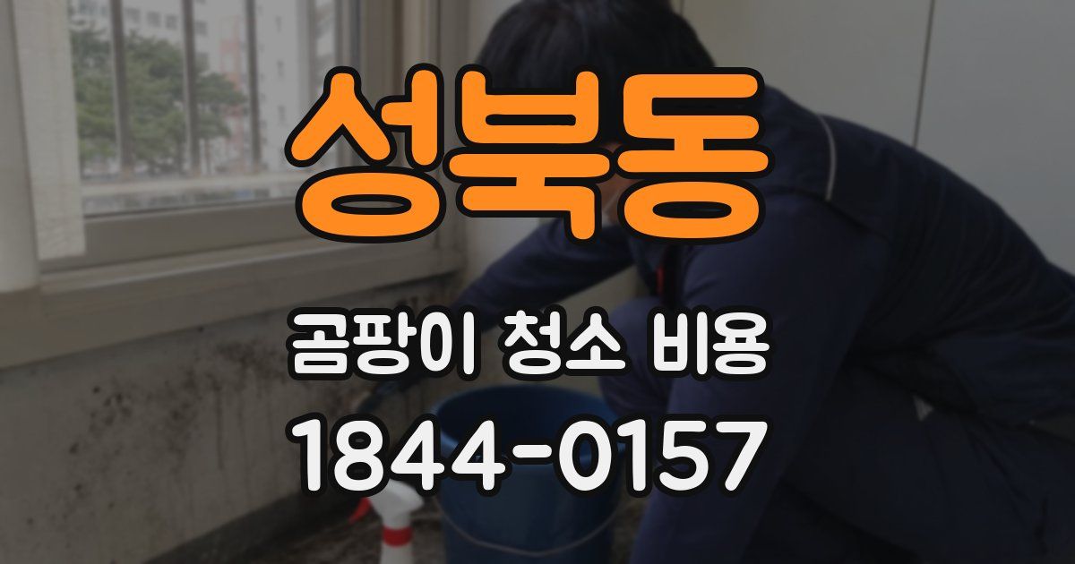 성북동 곰팡이 청소 비용